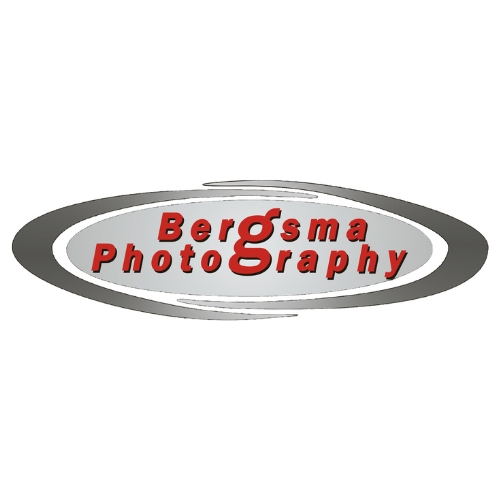 sponsor-bergsma